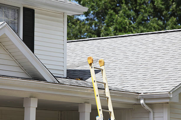 Best Stone Veneer Siding  in Ivyland, PA